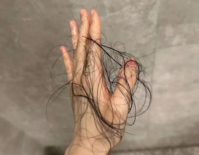 头发换季出油炸毛还能救？徕芬吹风机PK大牌，谁更护发？