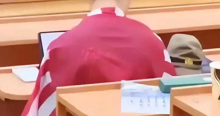 嚣张至极！身披旭日旗陈宇昕获企业公开支持：一起披！汤家凤痛斥
