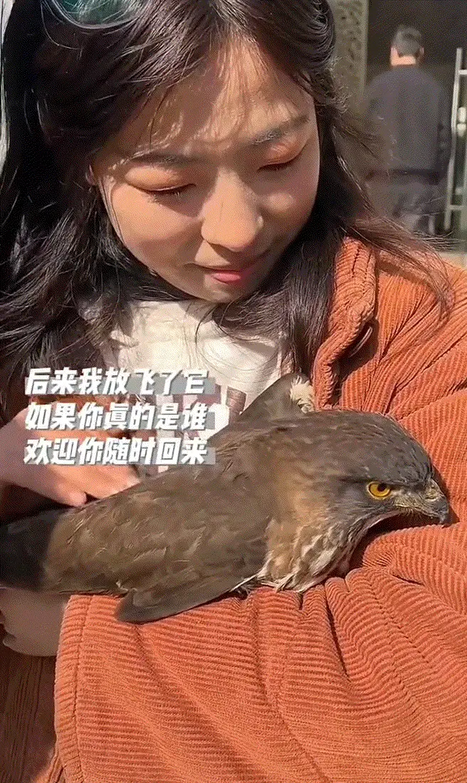 谦语谈书风：这下真解释不清了！四川有个女