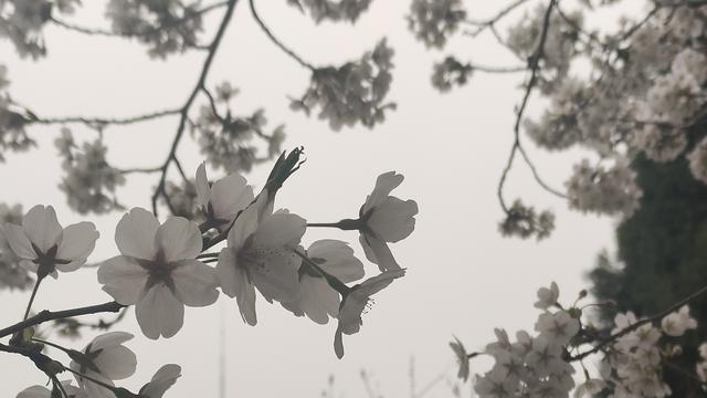 汉水之源沔水之情：走过半生才懂：向内修行