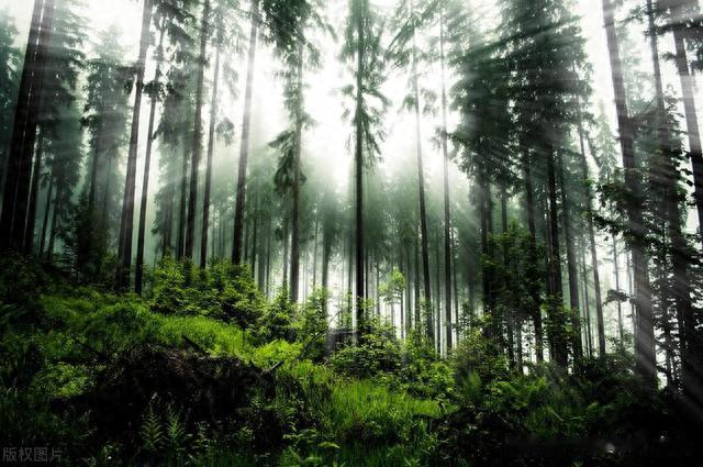 见色不起，宗筋不硬气，中医仅用一招就可以恢复该有的硬气