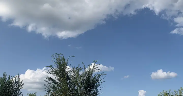 总裁前夫跪求复合——我能助你上顶峰便能让你下地狱（5）