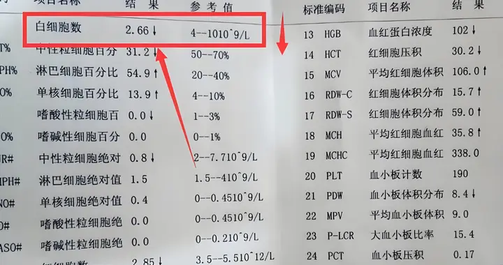 化疗后查血，这3点是必看选项，若全正常说明病情稳定！