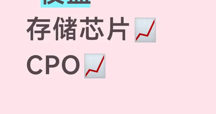 储存芯片cpo📈