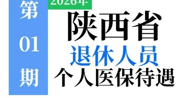 2026年在陕西退休：医保缴费20年够吗？每月能划入账户200元吗？