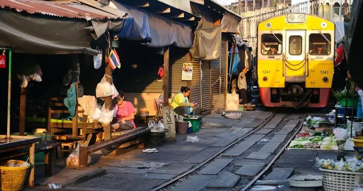 越南疯狂的吃猫习俗，每年吃掉500万只，吃猫肉习惯从哪里而来？