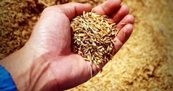 若中外爆发粮食战争，停止向中国售卖粮食，我国14亿人会饿死吗？