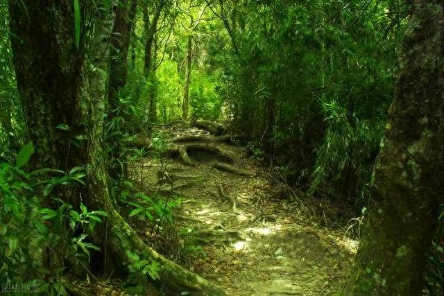 中国股市：不管你信不信，这就是股市交易的本质，大道至简！