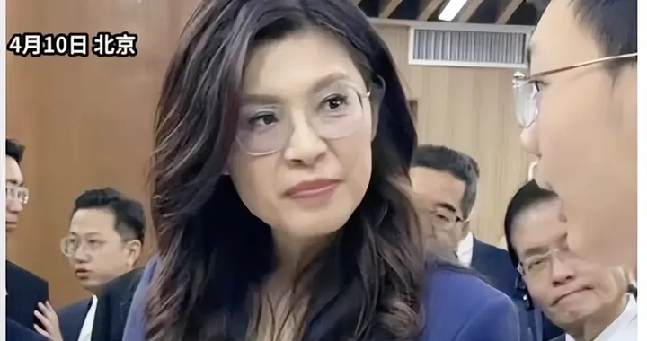 郑丽文想带回家的不是机器人，是台湾孩子的未来