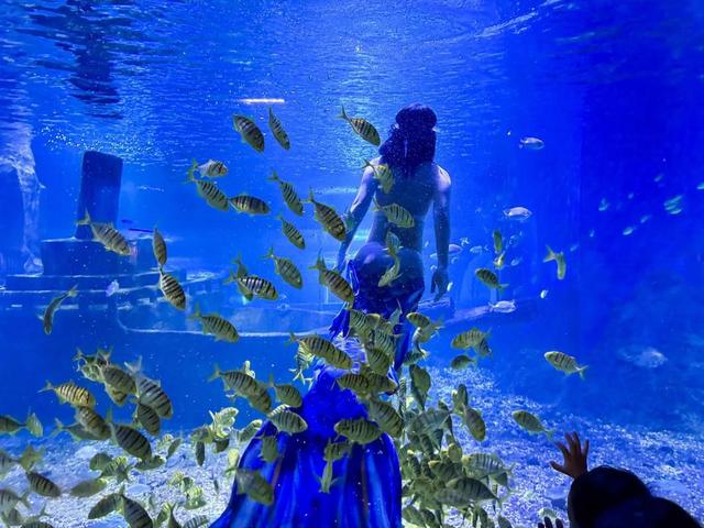 世界上真的存在人鱼吗？为什么？