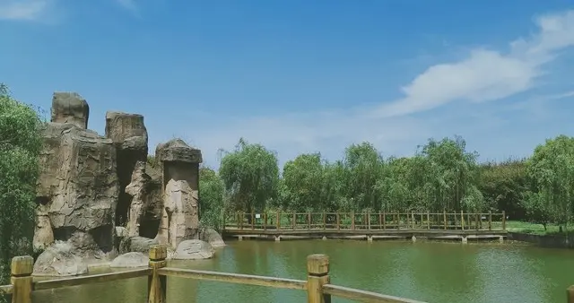 她才是缅北四大家族最“毒”的女人，比魏榕还无情，人称缅北双煞