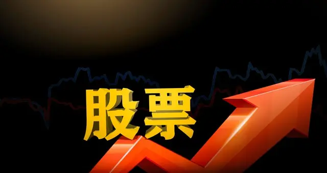 股市里的“中军”指的是什么？