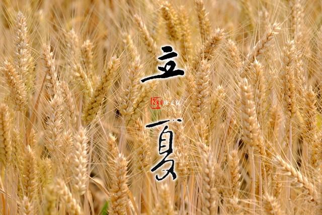 “上午立夏雨不愁，下午立夏旱不停”，今年立夏在哪？有啥预兆？