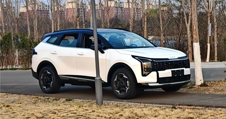 春日自驾优选 试驾起亚新狮铂拓界1.5T尊贵版