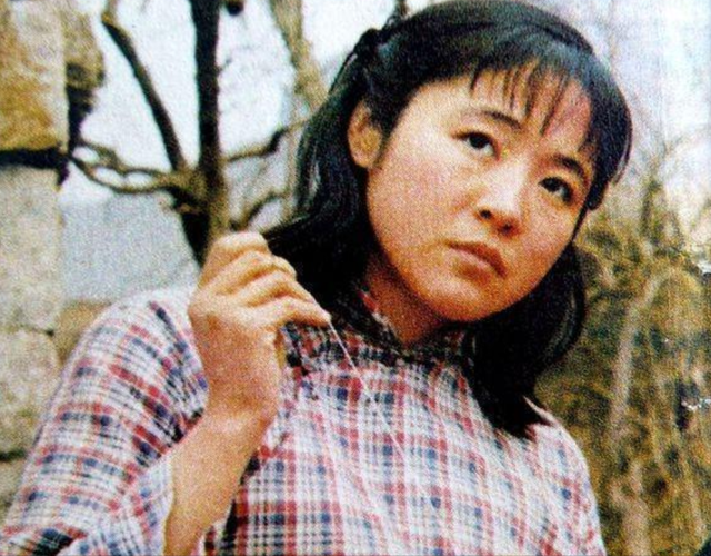 开国大将之子恋上女演员，母亲流泪劝分，得知真相她做了一个决定