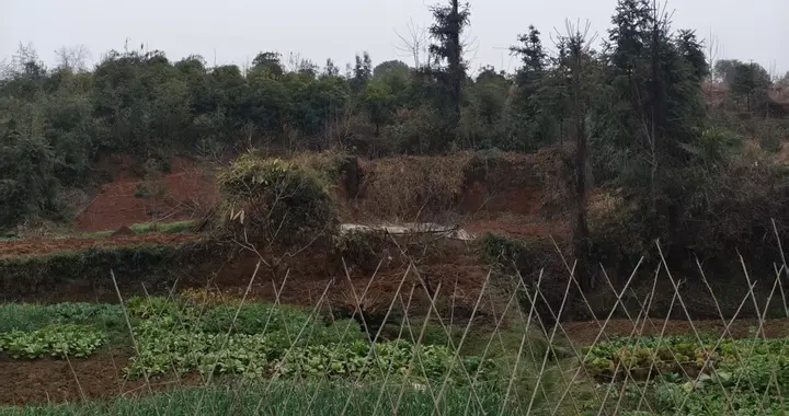 杨家岭独立阵地上的孤军英雄