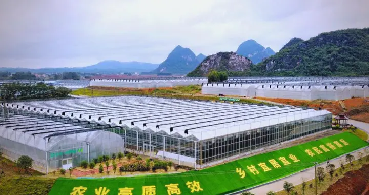 老板，要不要建个温室大棚啊？国家有补贴的！