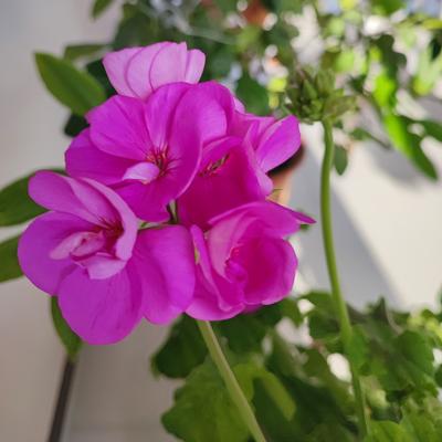 惜缘5h8f：努力赚钱吧， 钱才是你的底