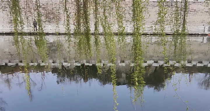 美以疯了？特朗普的总统生涯，会不会就此断送？