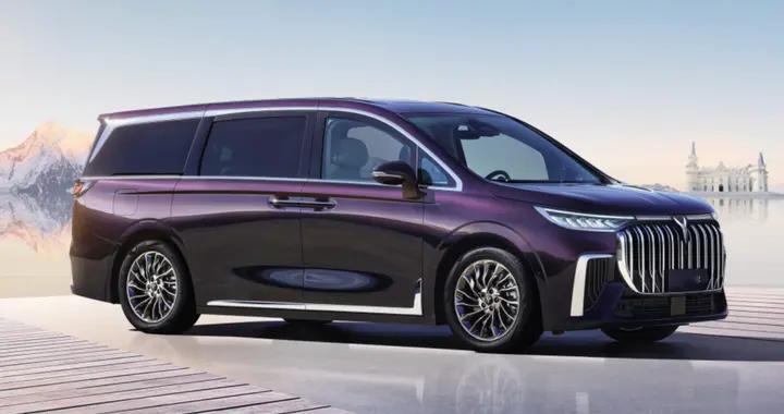 90后创业老板选MPV：岚图梦想家vs极氪009，看看家商两用能否实现