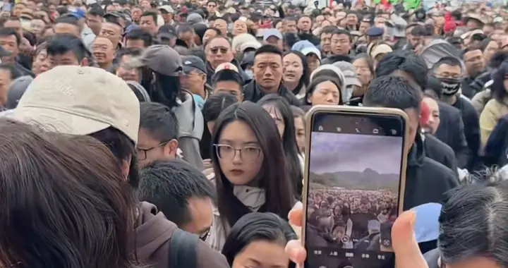 本是去5A景区看红叶，结果绿油油，还排队3小时，游客：再也不来