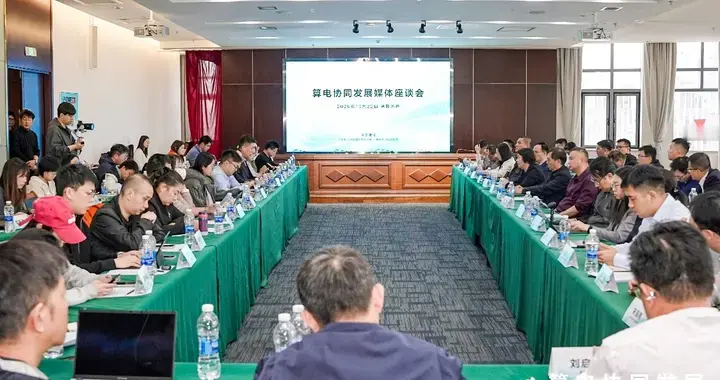 从戈壁的无限风光到澎湃绿色算力 探寻算电协同新疆实践