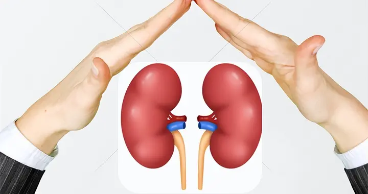 肾病治疗重大突破！非奈利酮CKD研究成功，肾病患者迎来新希望!