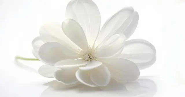 那些个总说“上班去了”的警察，这次没回家