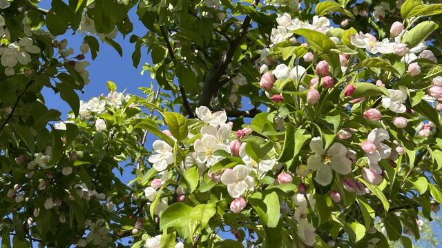 爱生活的饺子：无论我们多大年纪，在老年人