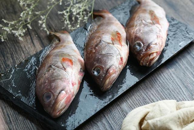 建议血液病患者这样吃鱼！方法没找对，等于在“养”癌细胞