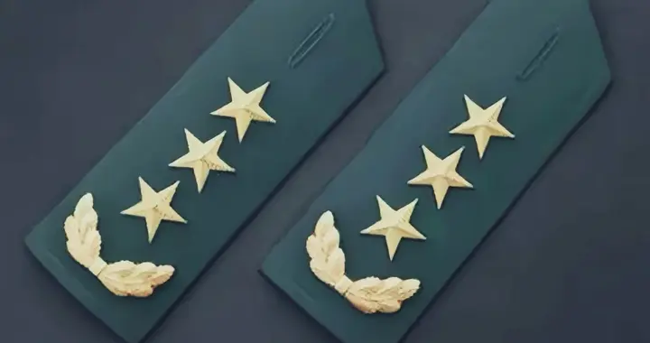 上将军衔，只有4次叫“授予”，其他都叫“晋升”