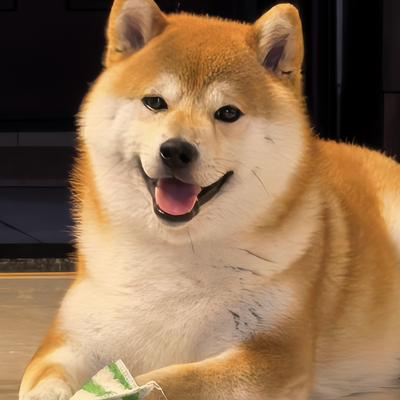 可可糖的春天：这是我