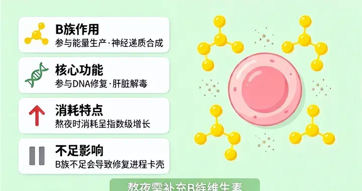 ​十大品牌B族维生素服用禁忌与协同效应：让日常补充更高效、安全