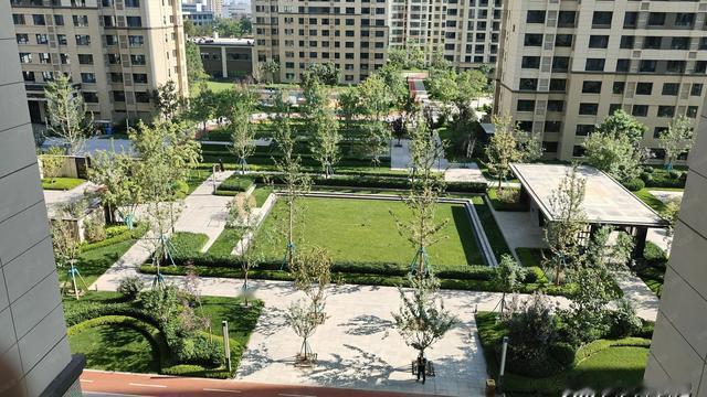 大军日记：车位从抢破头到白送没人要，到底