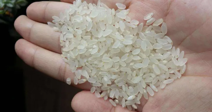 你吃的米饭有80%是陈米？真相全在这里了！