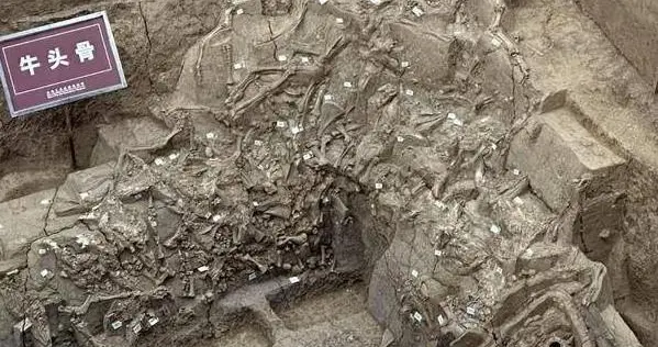 西汉最完整黄肠题凑墓竟无主？91万平米陵园藏百年谜案