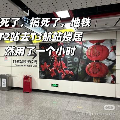 浙江巡府2002：花了几百大元买的血的教