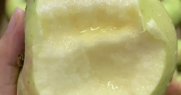 又丑又贵！小众苹果天花板，自带花香，脆甜爆汁，吃一口想一年