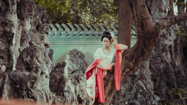 丁志勇｜情归水月 人夭风流——重读《红楼梦》第七十七回（2）