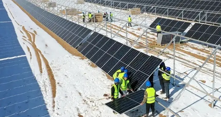 中国一大乌龙事件，本意是想建造电厂，却意外得到了个牧场