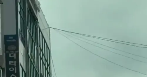 那些黎明前最后一天清仓离场的投资者，只差一天就能等到暴力反弹