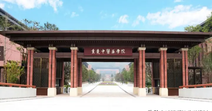 重庆中医药学院2025年本科批B段录取分数