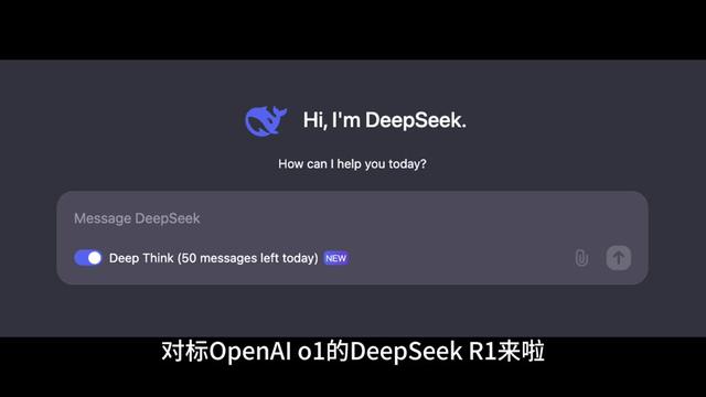 你是以哪种方式使用deepseek？