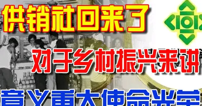 “乡村振兴下的黄金赛道：农村热门加盟项目全解析》