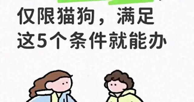 高铁能带宠物了！110站开通，猫狗同车到达，但这5个条件卡太严！