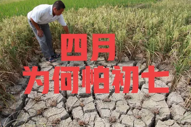 “四月怕初七”，明日四月初七，到底怕啥？早看早知道