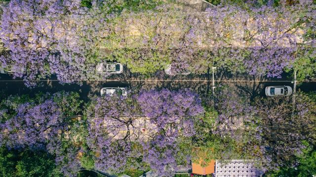 如果你计划去云南旅游，这 10 点注意事项，请早点做好准备