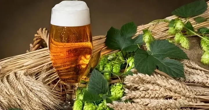 中国古代也喝啤酒，5000年前古人就会酿，后来为什么消失了？