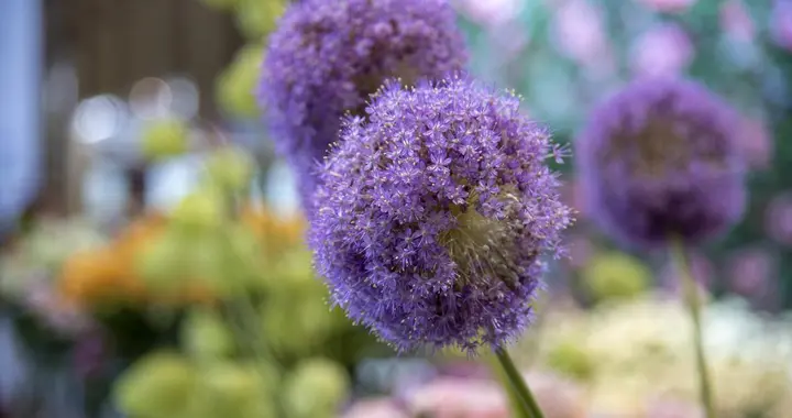 女人四十，不是变老而是变清醒：这7个变化，说明你正在成为自己