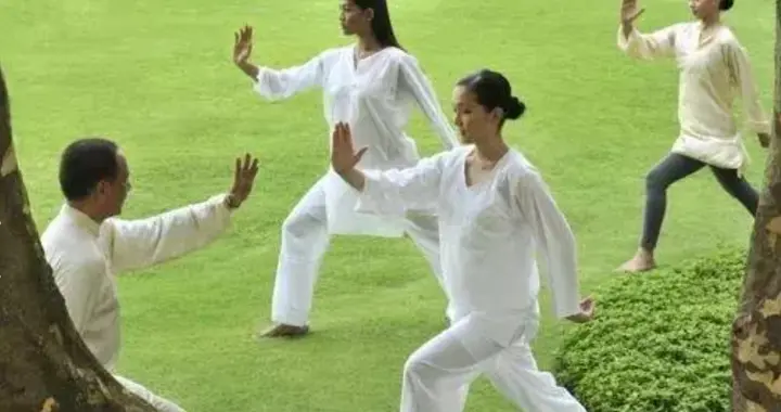 做到这个，你的太极拳就有功夫啦